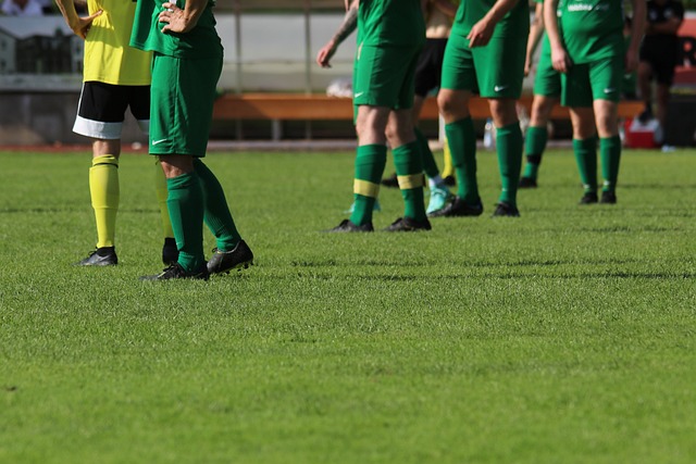 了她对未来 了她对未来