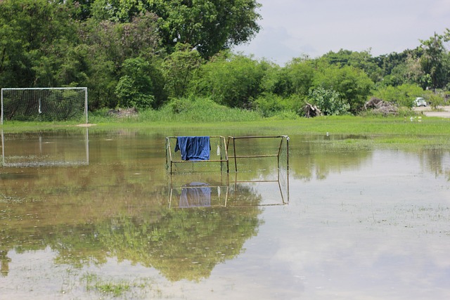 更高成就的 更高成就的