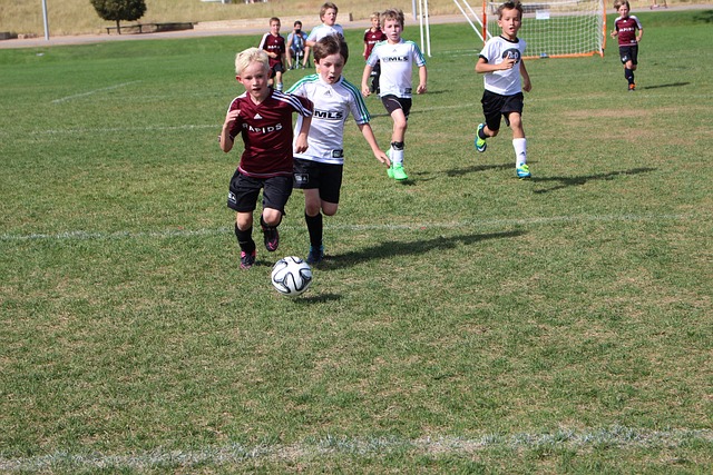 动向一直是 动向一直是