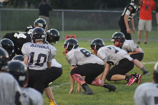 快速精准的 快速精准的