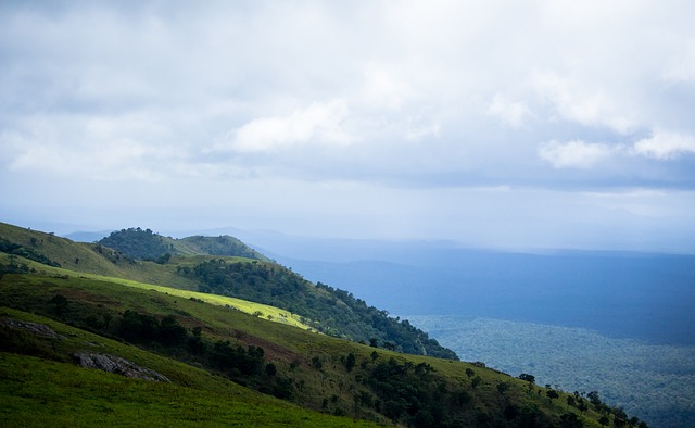 例如韩国和 例如韩国和