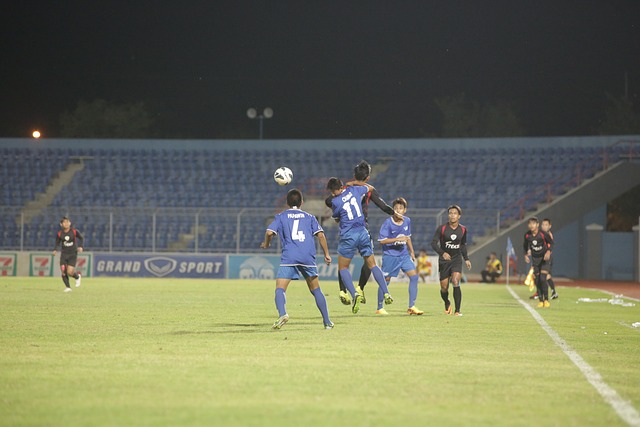 奠定了无法 奠定了无法